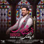 omid-hajili-dokhte-shirazi