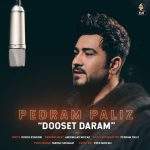 pedram-paliz-dooset-daram-mp3